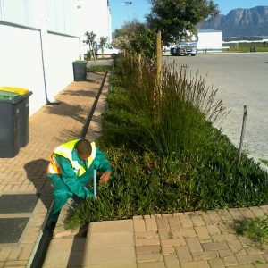 HARD AND SOFT LANDSCAPING