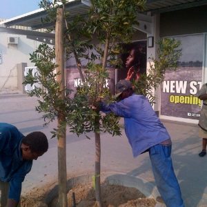 LANDSCAPE CONSTRUCTION AND INSTALLATIONS