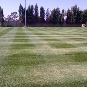 SPORTS FIELD CONSTRUCTION & INSTANT LAWN
